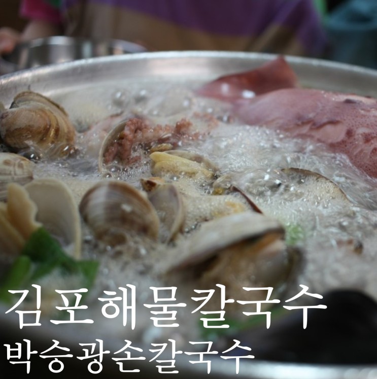 김포 장기동 맛집 박승광해물손칼국수 이열치열 여름나기