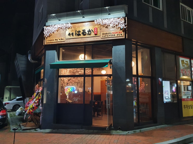  [이자카야 하루카] 벚꽃나무가 있는 광교 주점