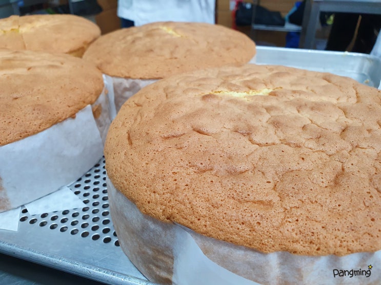 제과기능사 - 버터스펀지 케이크 ( 별립법 )/ 마데라 컵케이크