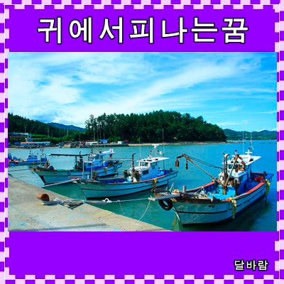 귀에서 피나는 꿈 귀에 관한 꿈 풀이