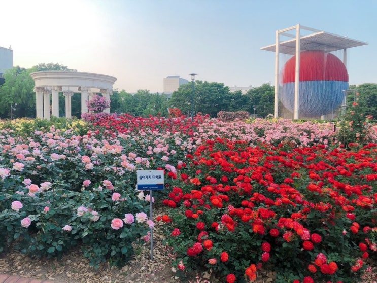 송파구 올림픽공원 데이트, 장미광장(뒤늦은 후기)