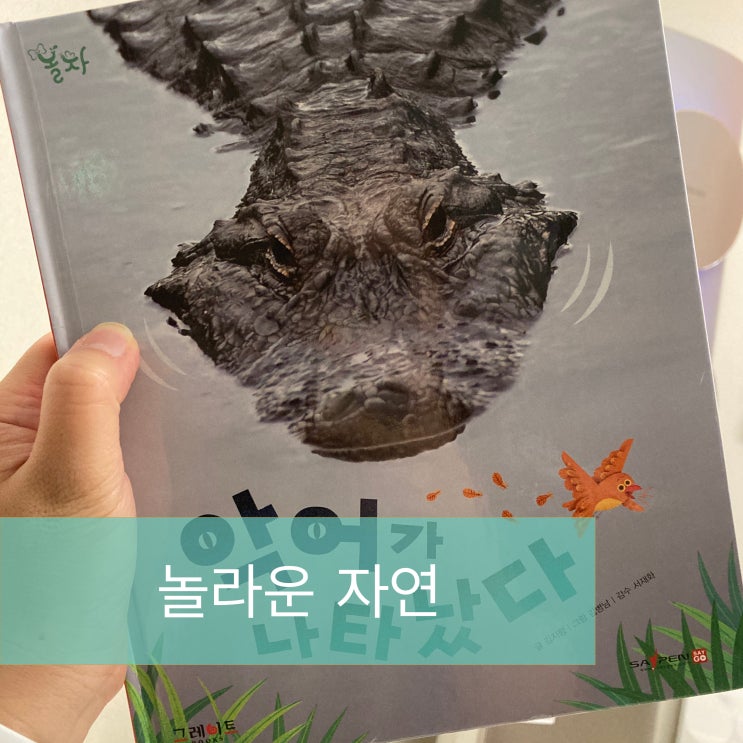  alligator / crocodile?(feat. 놀라운자연 / 유아과학동화추천 )