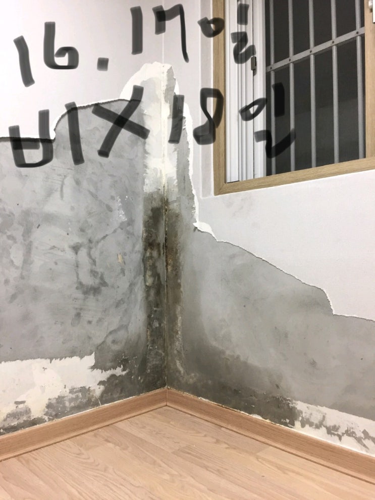 누수인지 결로인지 분간이 안되다보니 괜히 큰 공사할 뻔 했다던 집, 간단하게 고민해결 누수인지 결로인지 분간이 안되다보니 괜히 큰 공사할 뻔 했다던 집, 간단하게 고민해결