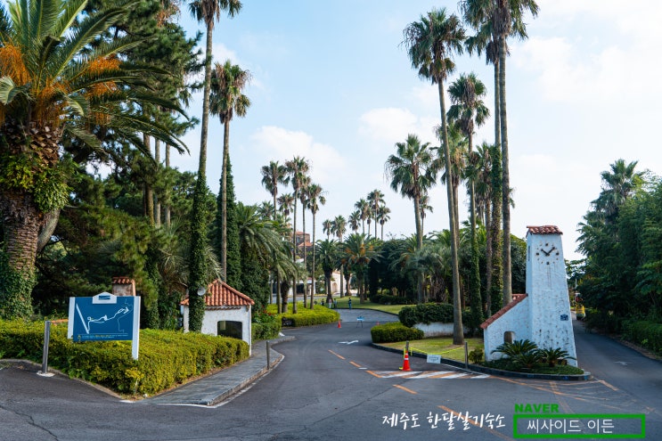  제주 최고의 낭만 명소 "허니문 하우스" [제주도 한달살기 숙소 씨사이드 이든 추천]