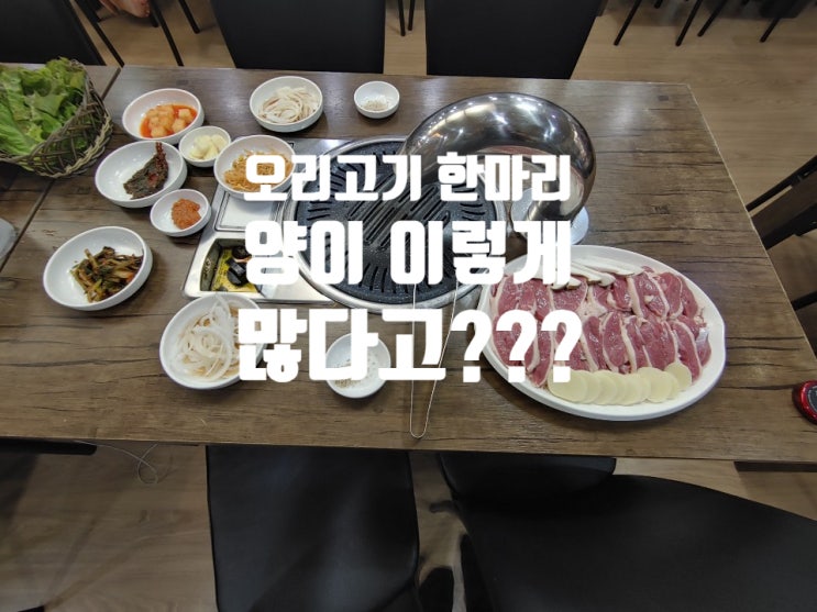 경기도 양주 광적 가래비,백석  오리고기 찐맛집 참숯통큰오리!