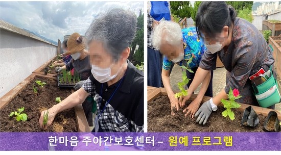  [한마음주야간보호센터- 원예 프로그램 ] 8월 3째주 소식 / 은평구 주야간보호 / 서대문구 주야간보호 / 은평구 데이케어 / 서대문구 데이케어 / 원예치료 / 싱싱텃밭 / 옥상정원 / 모종심기 / 재활프로그램 / 인지재활 / 신체재활 / 재가요양 / 어르신돌봄 / 은평구 / 서대문구