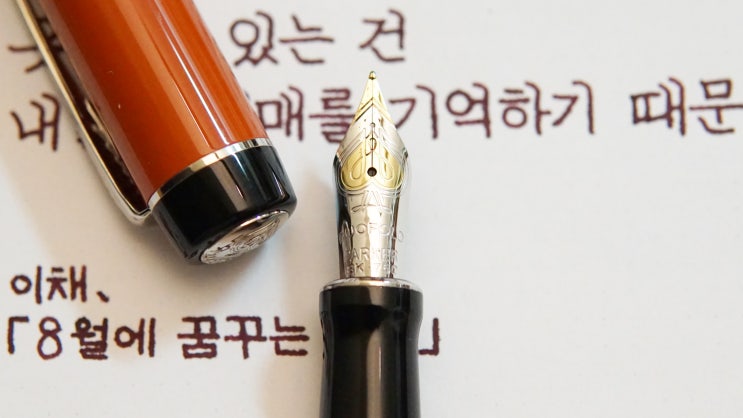  8월에 꿈꾸는 사랑 (파카 듀오폴드 센테니얼 빅레드 F닙)