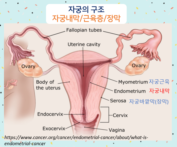 초기 Matsushima adenomyosis의 적절한 치료 1