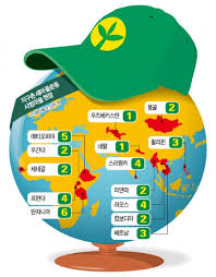 박정희대통령 새마을사업의 평가 : 해외진출 개발도상국 새마을운동 평가 박정희대통령 새마을사업의 평가 : 해외진출 개발도상국 새마을운동 평가