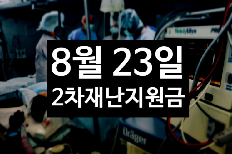 서울 2차 재난지원금 얼마 지급금액 결정 8월 23일 검토 제주도는 이미 신청중