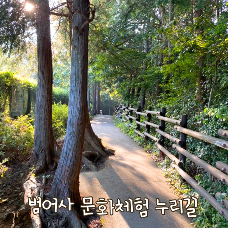  숲속 걷기좋은, 범어사 문화체험 누리길