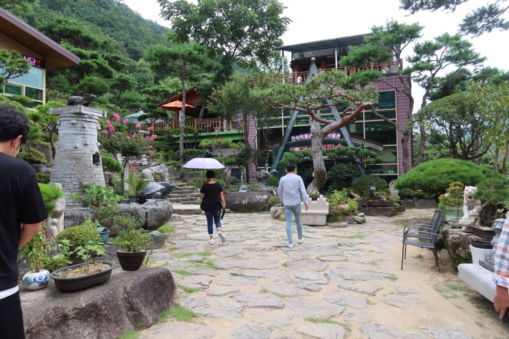 대구 팔공산 산책 대한수목원 애견동반 가능