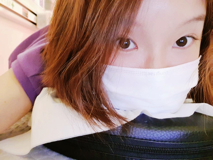  해바라기 키우기 :해바라기씨 발아됐다고 파종, 더불어 찾아 온 허리 통증 골병