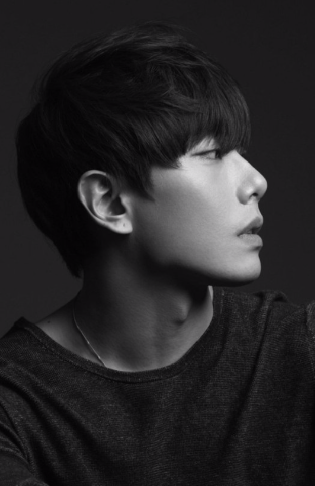 리메이크된 노래들 눈의 꽃 나카시마 미카 박효신 보이즈 투 맨 Insomnia 휘성 크랙 데이빗 Way Back Home 저스틴비버 숀 네이버 블로그