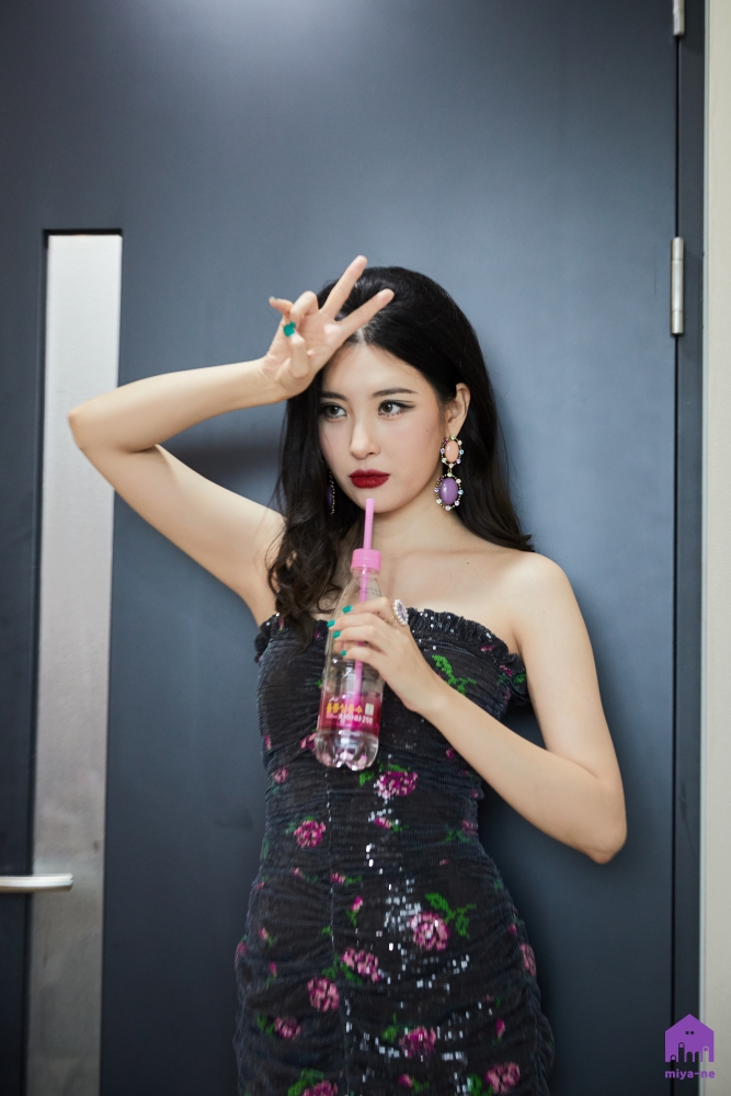 천재 작곡가 선미, 선미의 음악 스펙트럼 천재 작곡가 선미, 선미의 음악 스펙트럼