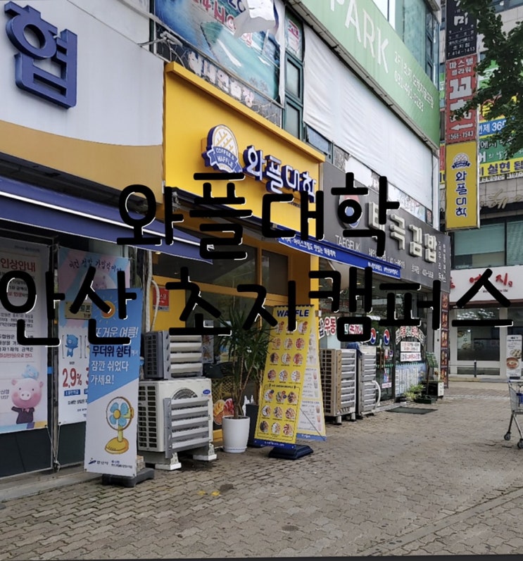  [카페리뷰]안산 와플대학 초지캠퍼스