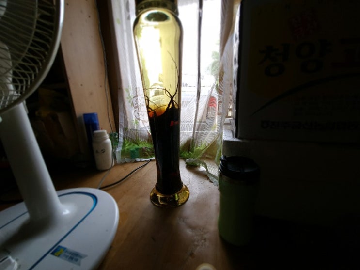 야헌 생각 야헌 생각