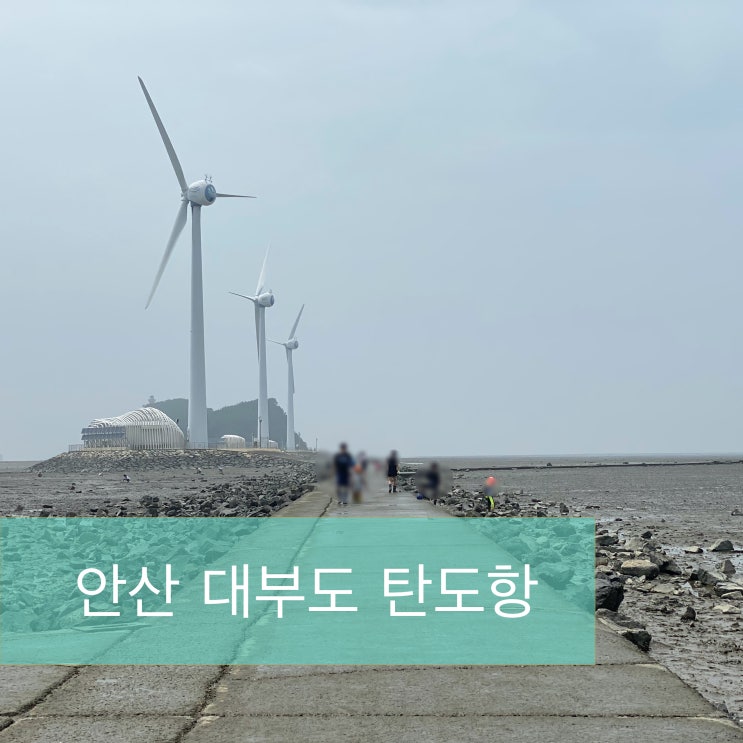  추천 드라이브 - 안산 대부도 탄도항