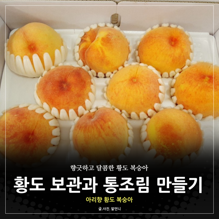  8월 제철과일 황도 복숭아 보관법과 아리향 황도로 통조림 만들기