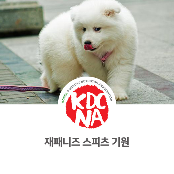  [반려동물 정보] 재패니즈 스피츠 강아지의 기원_586