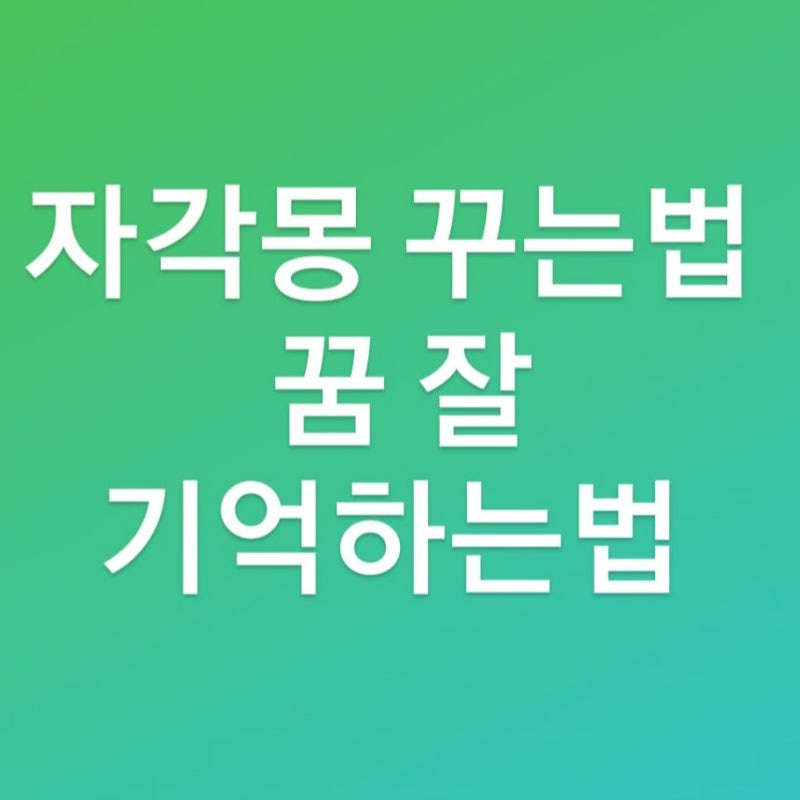 루시드 드림(자각몽) 꾸는 법 - 꿈을 잘 기억하는 방법 : 네이버 블로그