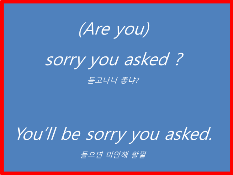  굳이 물어봤어야 했니 혹은 듣고 나니 좋니? 굳이 묻지는마..  영어로는 (Are you) sorry you asked ? You'll be sorry you asked.