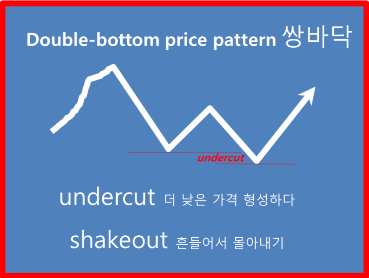  주식영어_쌍바닥과 개미들 흔들어 떨구기를 영어로는 double-bottom price pattern, shakeout라고 합니다. undercut 뜻은 더 낮은 가격을 형성하다