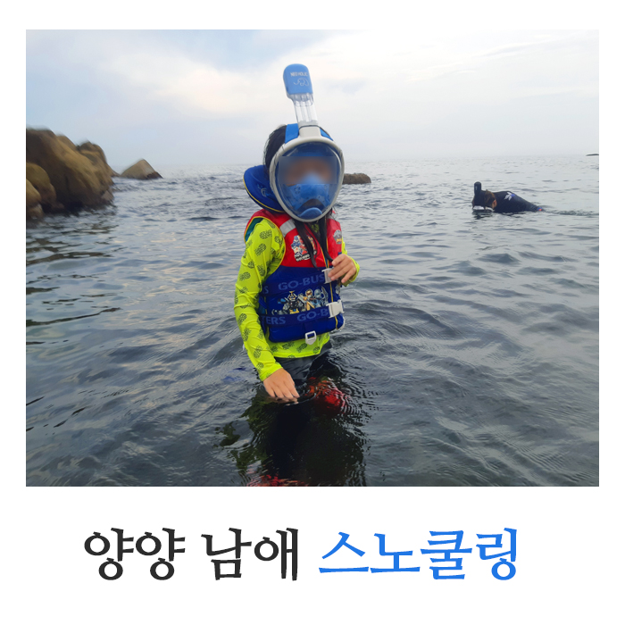  강원도 양양 남애 해수욕장 숨겨진 스노쿨링 명소 추천 + 수영 하기 좋은 곳