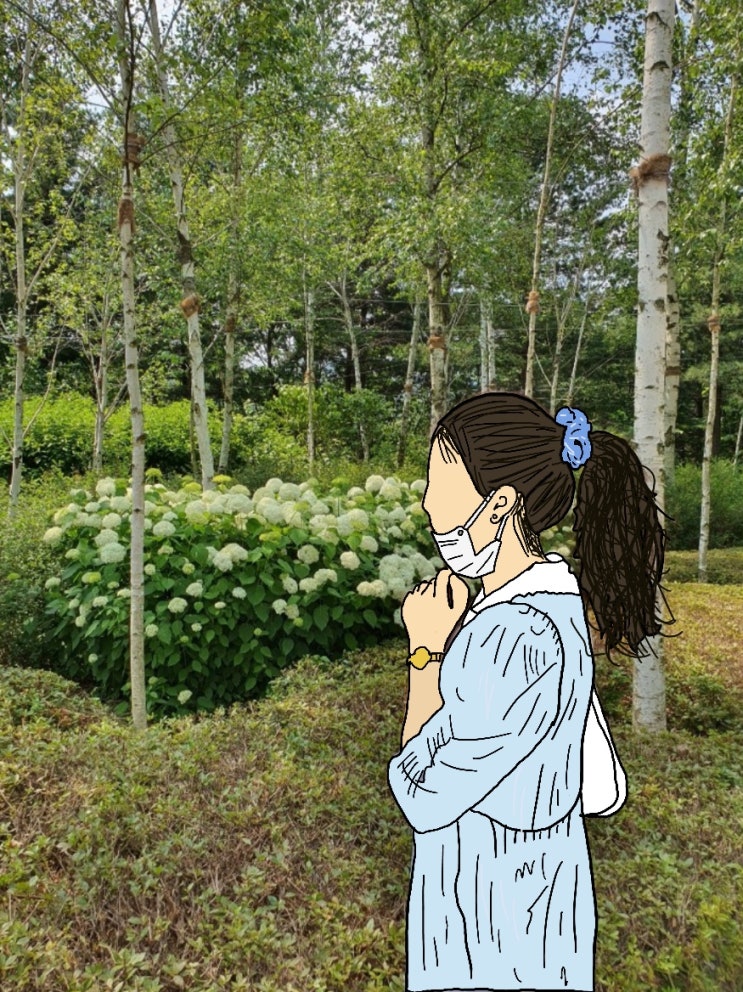  [강원 원주] 특별한 체험, 자연 속 미술관 '뮤지엄 산'