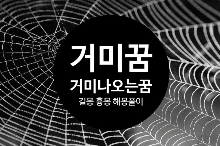 거미꿈 해몽 거미가 나오는 꿈 길몽 흉몽 풀이