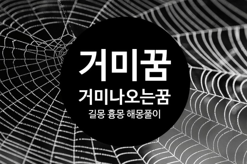 거미꿈 해몽 거미가 나오는 꿈 길몽 흉몽 풀이
