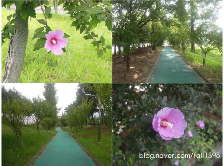 창원 남산녹지공원 : 무궁화 꽃 보며 반려견과 산책하고 운동하기 좋은 곳