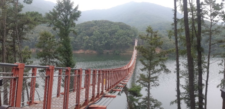  파주 마장호수에 출렁다리