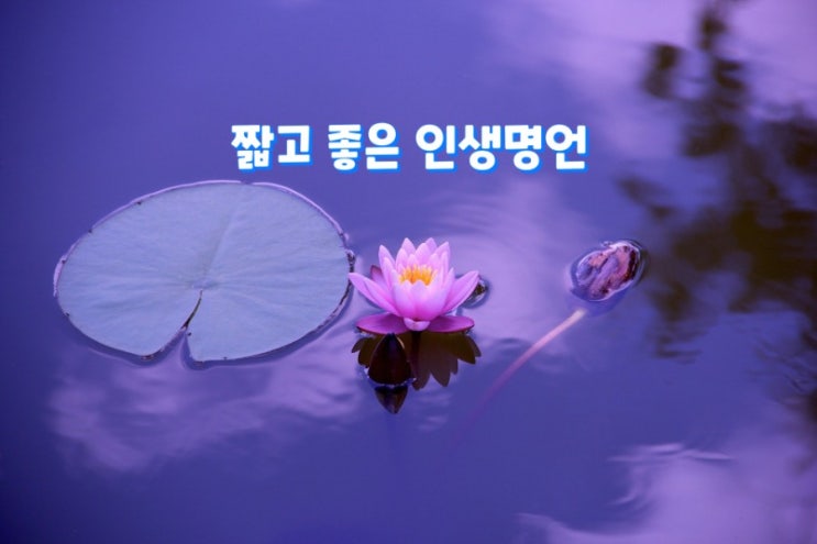 짧고 좋은 인생명언 짧고 좋은 인생명언