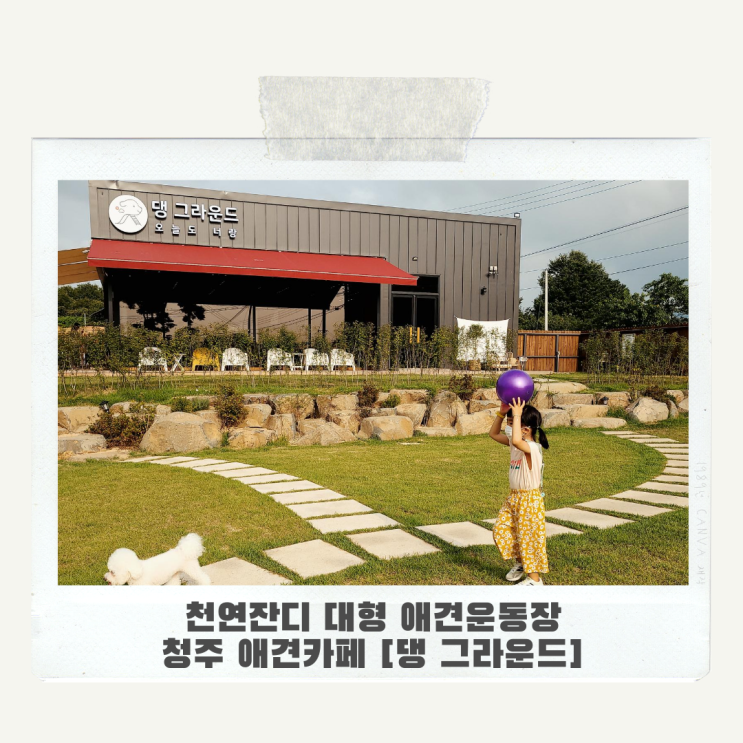  애견과 뛰어놀기 좋은 대형 애견카페 [댕 그라운드]