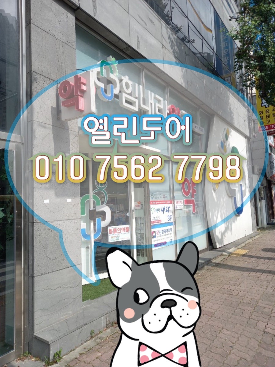힘내라약국 사진 1