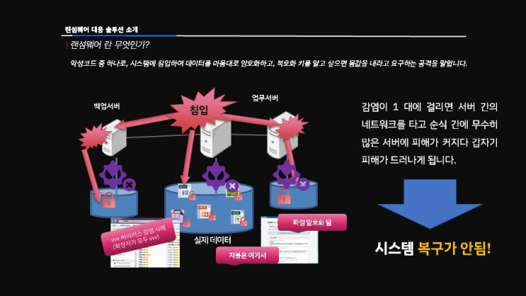  랜섬웨어 대응 데이터 보호 필요성