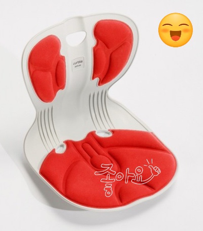  에이블루 커블체어 올바른 자세를 잡아준다고?