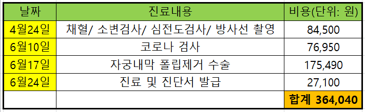 자궁내막 용종수술 16대 질병수술비 보험청구 기록 6