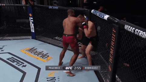 UFC 베가스 7: 에드가 vs 무뇨즈 리뷰(피니쉬 영상(GIF) 및 뒷얘기)