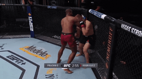 UFC 베가스 7: 에드가 vs 무뇨즈 리뷰(피니쉬 영상(GIF) 및 뒷얘기) UFC 베가스 7: 에드가 vs 무뇨즈 리뷰(피니쉬 영상(GIF) 및 뒷얘기)