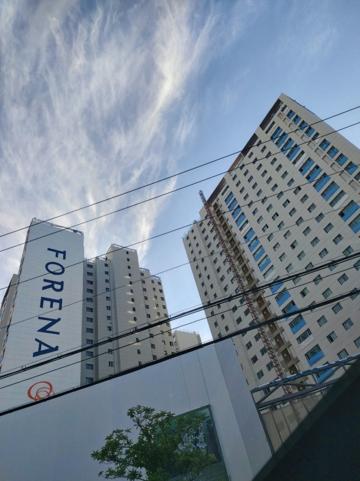  거제도 장평 포레나 미분양 줍줍 임장기 및 매수기
