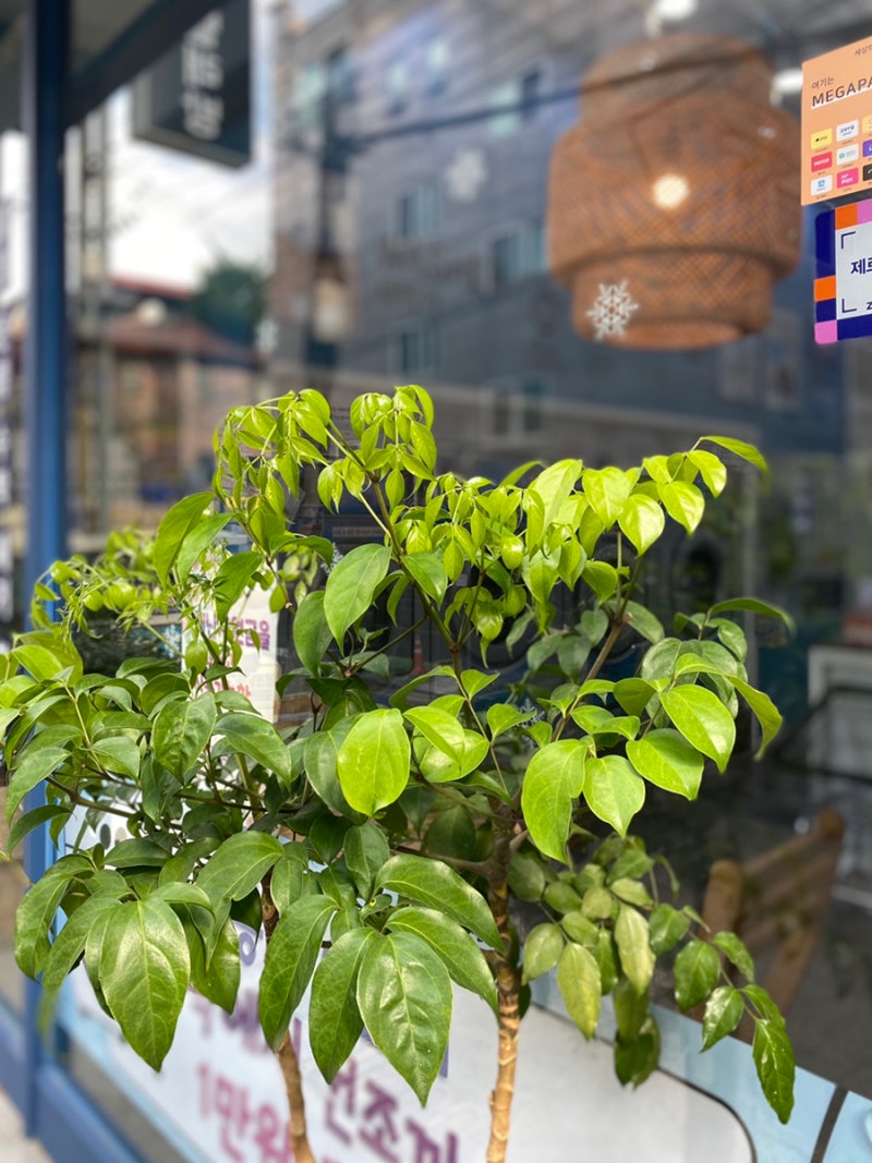 오늘은 빨래 하는 날! 마포 연남동 코인 빨래방 [워시엔조이] : 네이버 블로그