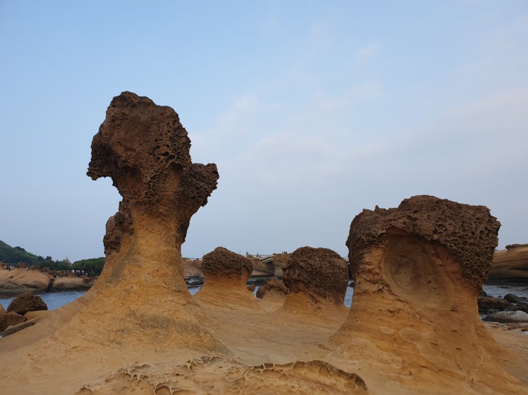  대만 예류지질공원 꼭대기까지 걸어가기