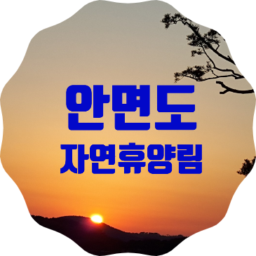  태안 안면도 가볼만한 곳 추천, 안면도 자연휴양림과 수목원