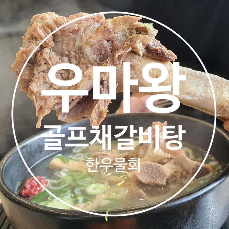 경주맛집 우마왕 골프채갈비탕 한우육회물회