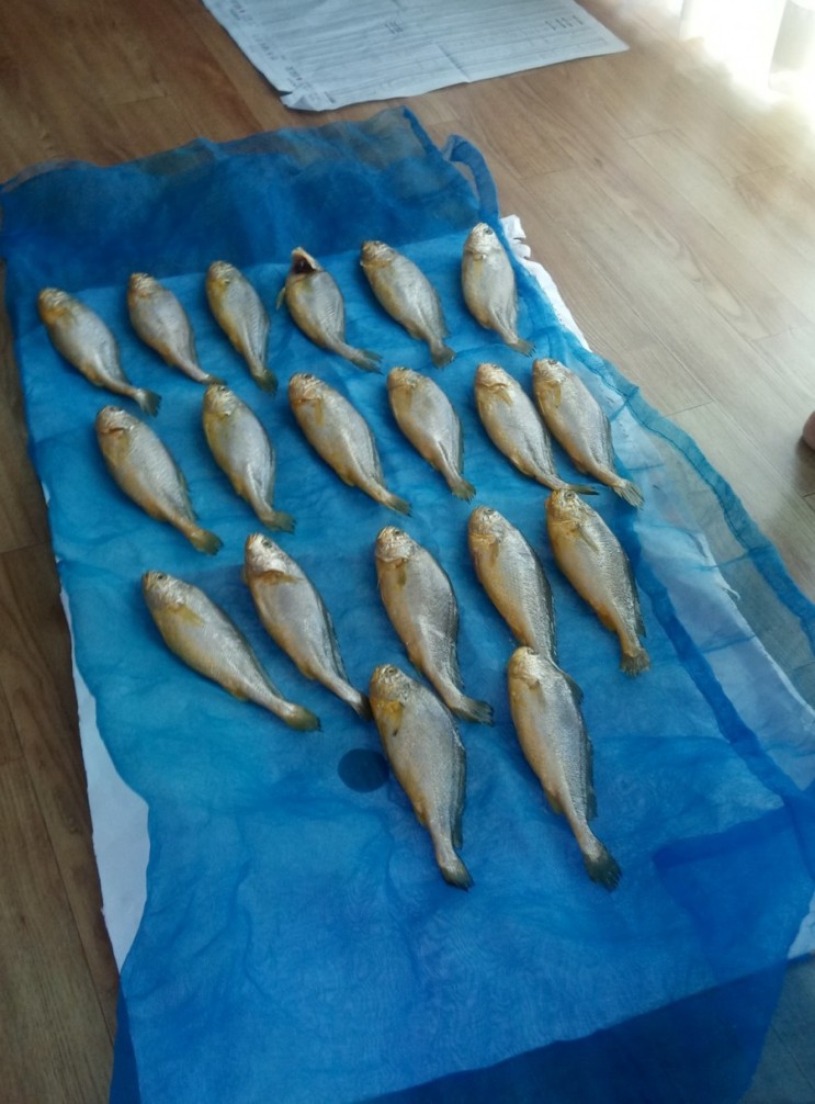 여름에 생선 조기 건조하는 방법