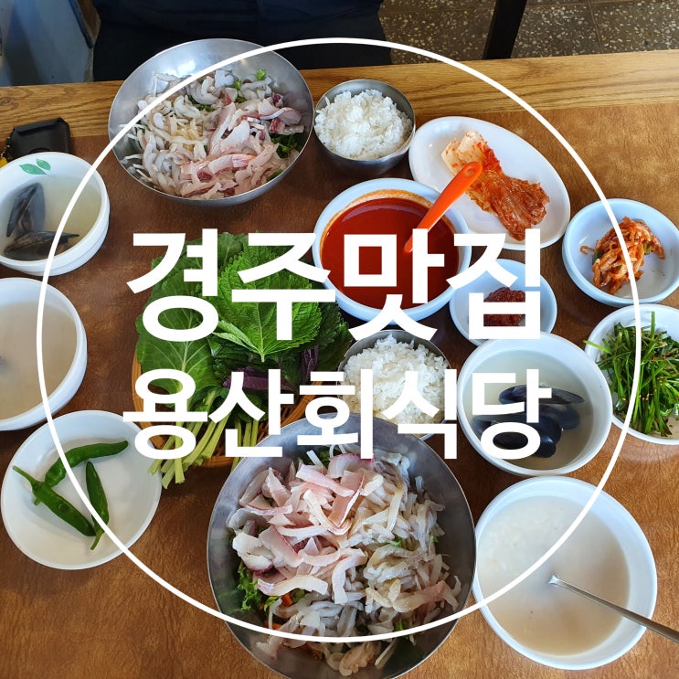  경주용산회식당 회덮밥 경주맛집추천 회덮밥칼로리