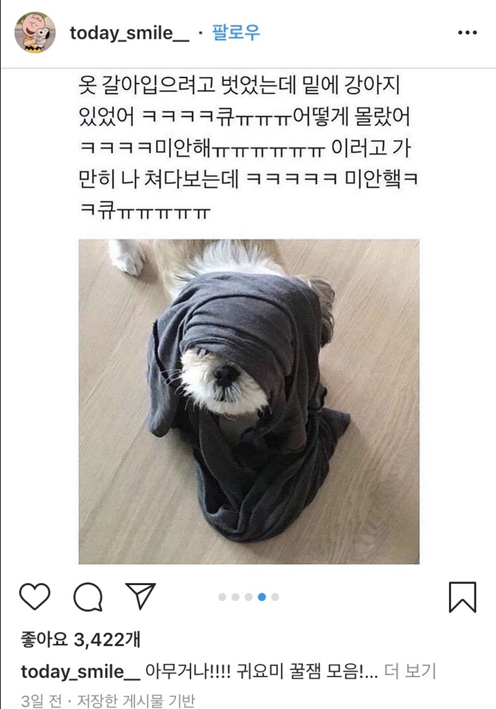  간단한 8월 갤러리 짤털 / 웃짤