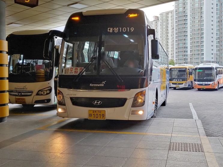  대성고속 천안오창.청주공항.증평충주 New premium universe space luxury